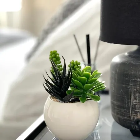 Apartman Rogier Mons